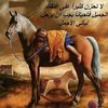 asmrassaf