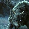 darkwolf6699