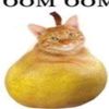 bombomyra