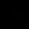 dgp1604