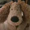 bcsfan23