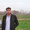 sayedalifakhri716