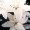 n3zsy_