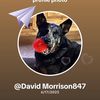 davidmorrison847