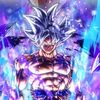 gokumui200