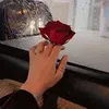 ommhamed221