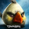 yaderniy_gomosek30001
