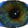 misia.pysia06