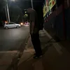 .lira_11