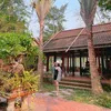 nhanheo29
