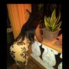 user1382787150772