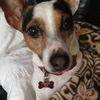 lola_bean1020