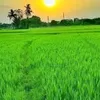 thienngo309