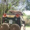 mr.safari1