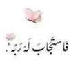 aldawdy8