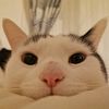 sunnythetinyterror