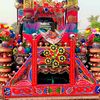 zafariqbal6834