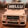 nellayakkaran