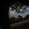 fenus_21
