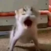 lamemehh
