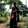 limbusneha22