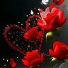 imranmahi164