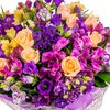 mirela50727