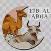 albi.citra