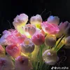 zzrevzjdi