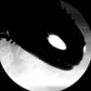 ___nwm_co__