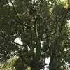 userpw83ju2bp6