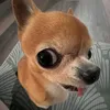 thanhtruc184999