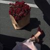 raniaabdessalem98