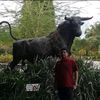 mussawaralam