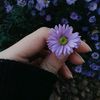 user2bhvsfzzx8