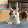 mochi_mugen