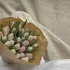 haya_1952