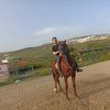 علاء الحلبي1