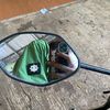 mrclloocta