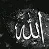 mahmoudmorad281