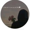 user4537038084531