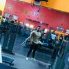 the_wolf9308