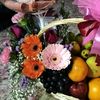 rosya992