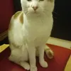 xwxbenjixwx