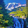 naturesessence4