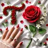 user7250133816197