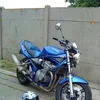 davidlesueur59