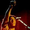 revolutionnary88