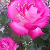 user26707354197911