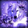 winonabazan3